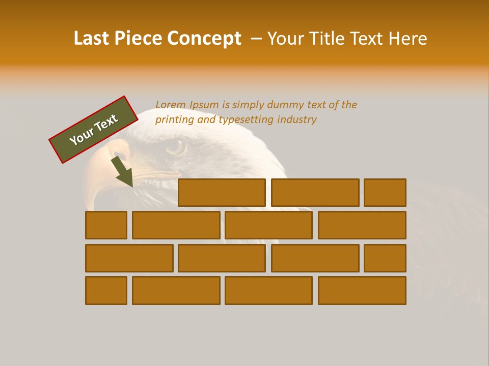 Animal America Hawk PowerPoint Template