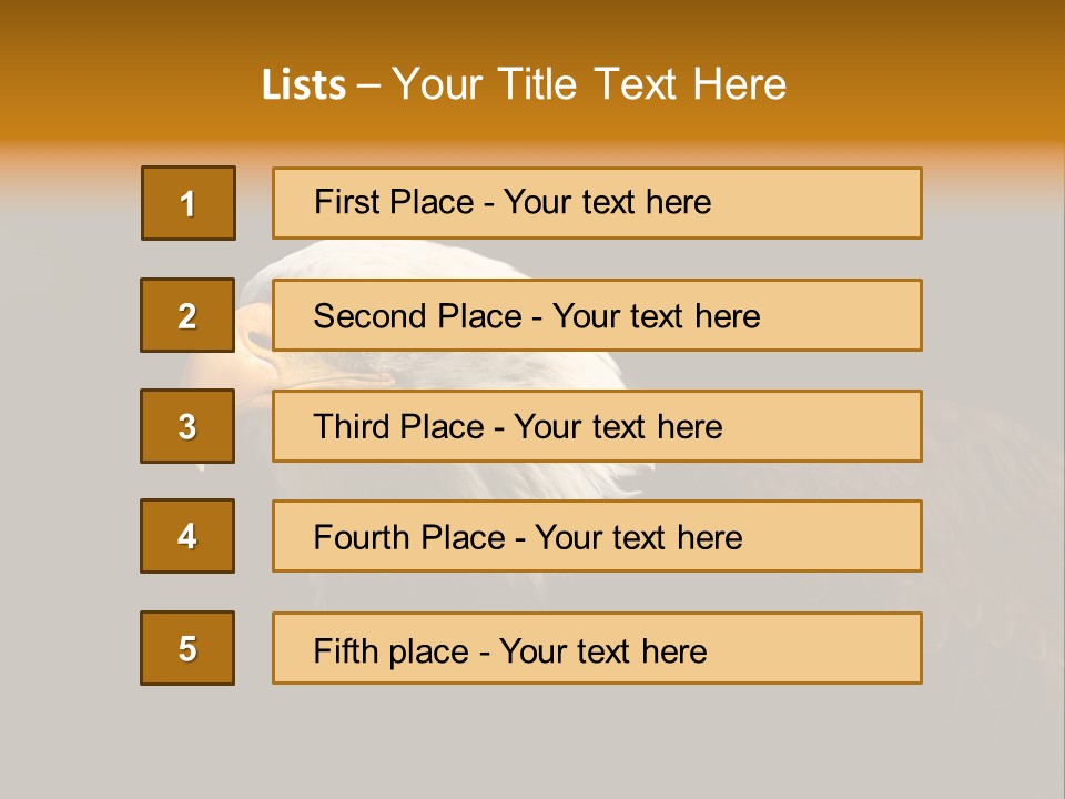 Animal America Hawk PowerPoint Template