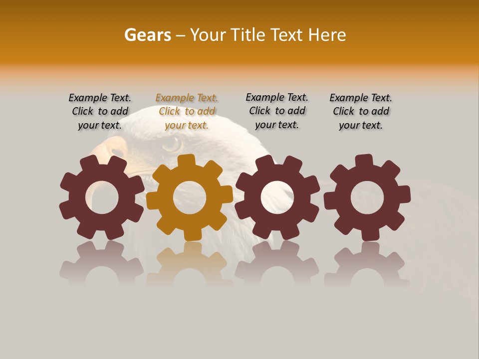 Animal America Hawk PowerPoint Template