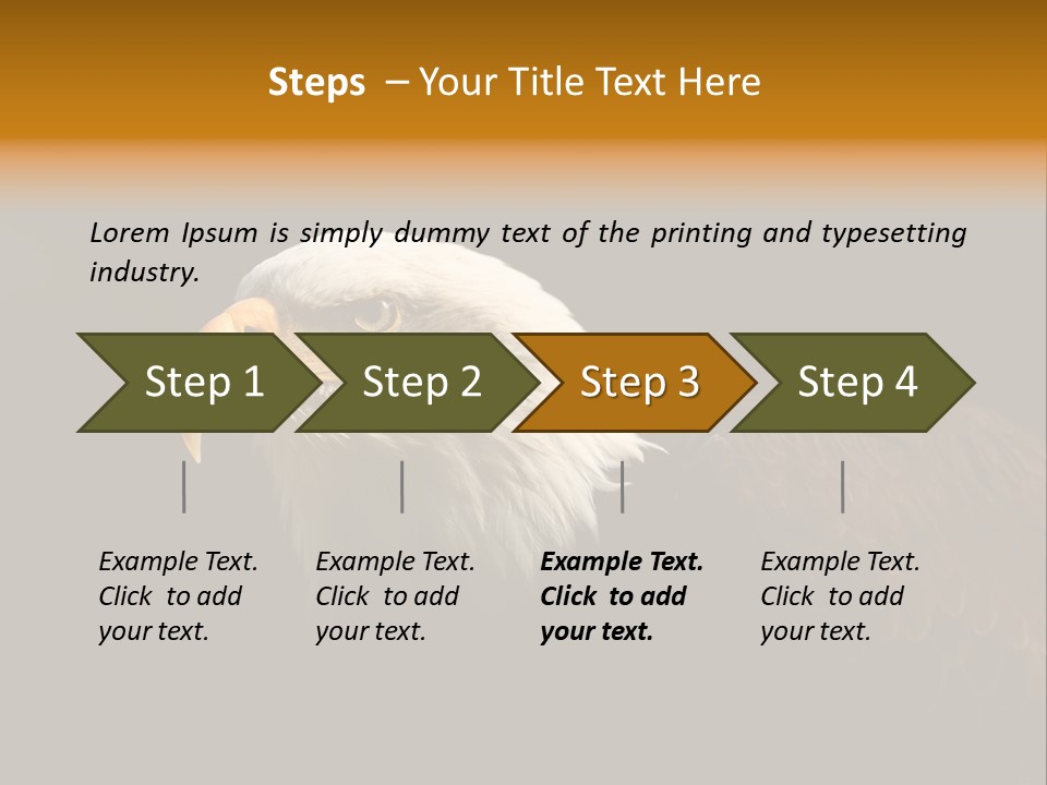 Animal America Hawk PowerPoint Template