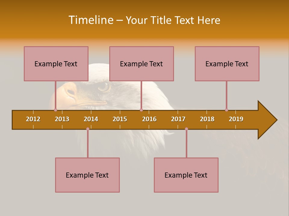 Animal America Hawk PowerPoint Template