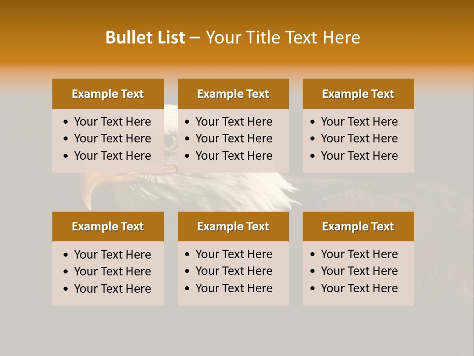 Animal America Hawk PowerPoint Template