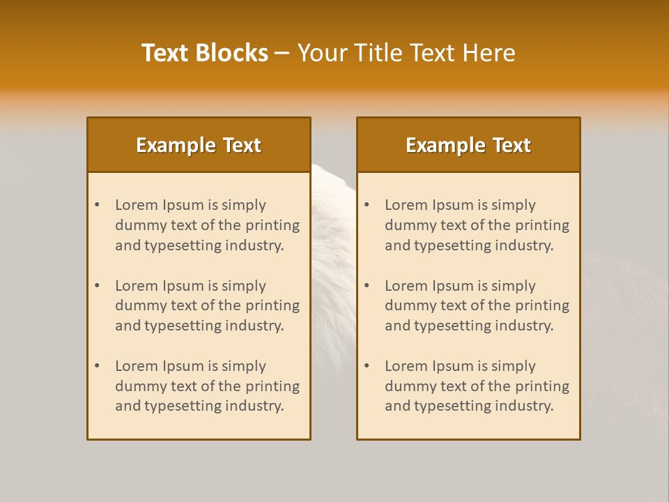 Animal America Hawk PowerPoint Template