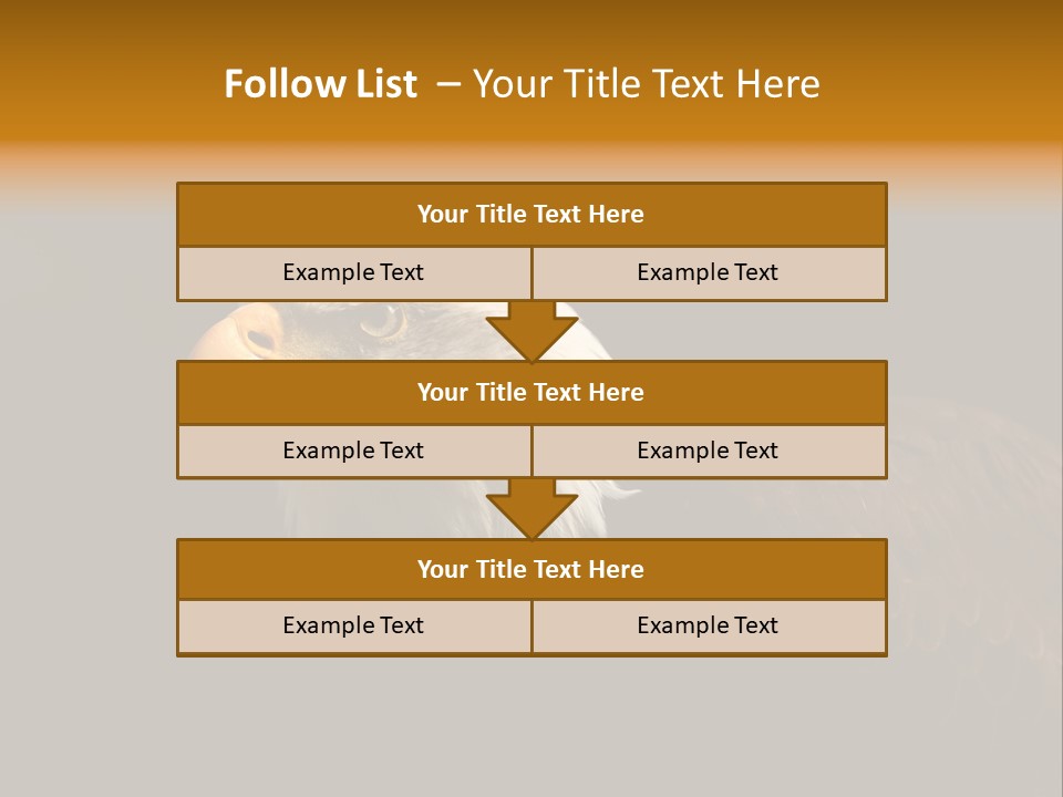 Animal America Hawk PowerPoint Template