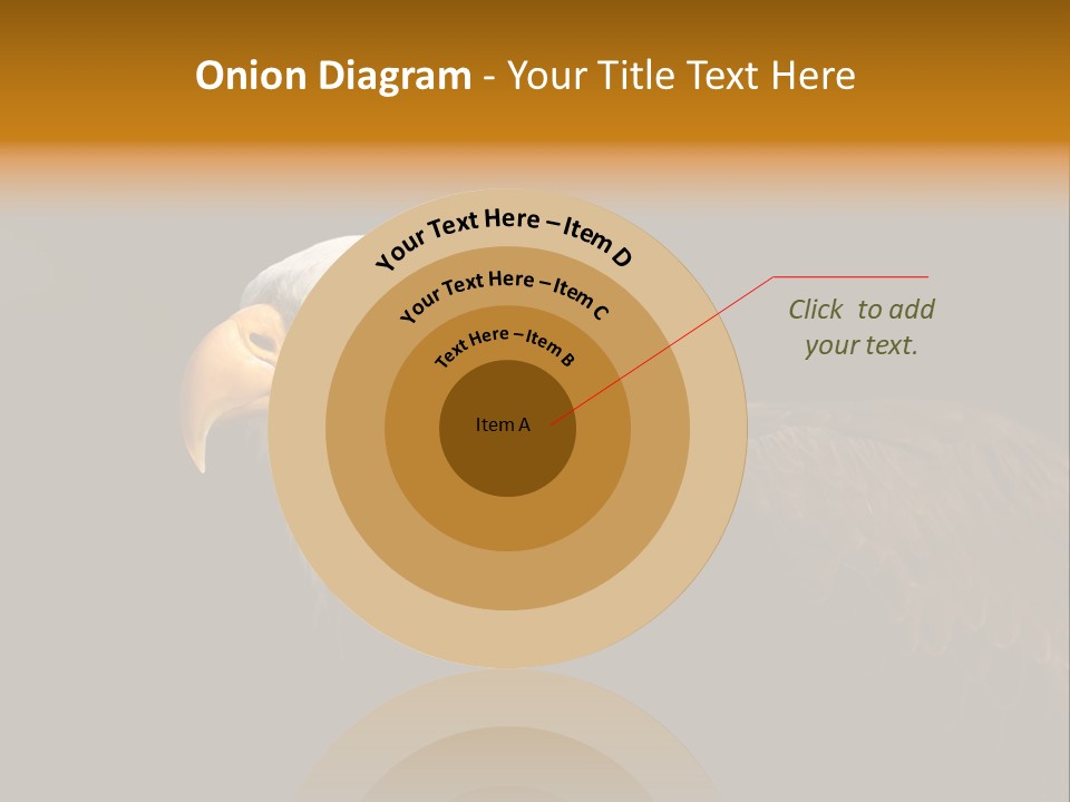 Animal America Hawk PowerPoint Template