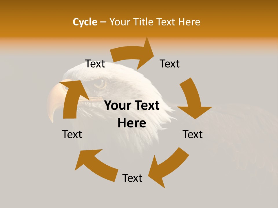 Animal America Hawk PowerPoint Template