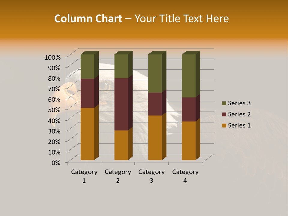 Animal America Hawk PowerPoint Template
