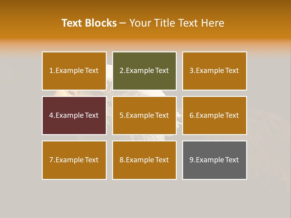 Animal America Hawk PowerPoint Template