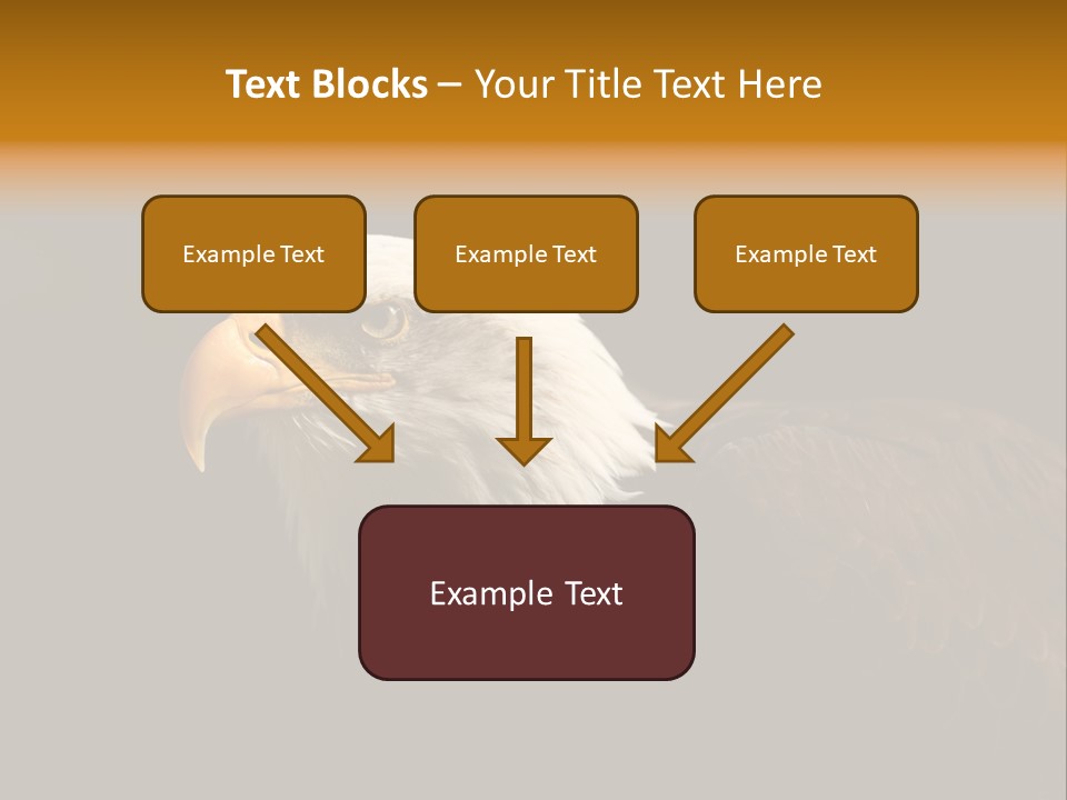 Animal America Hawk PowerPoint Template