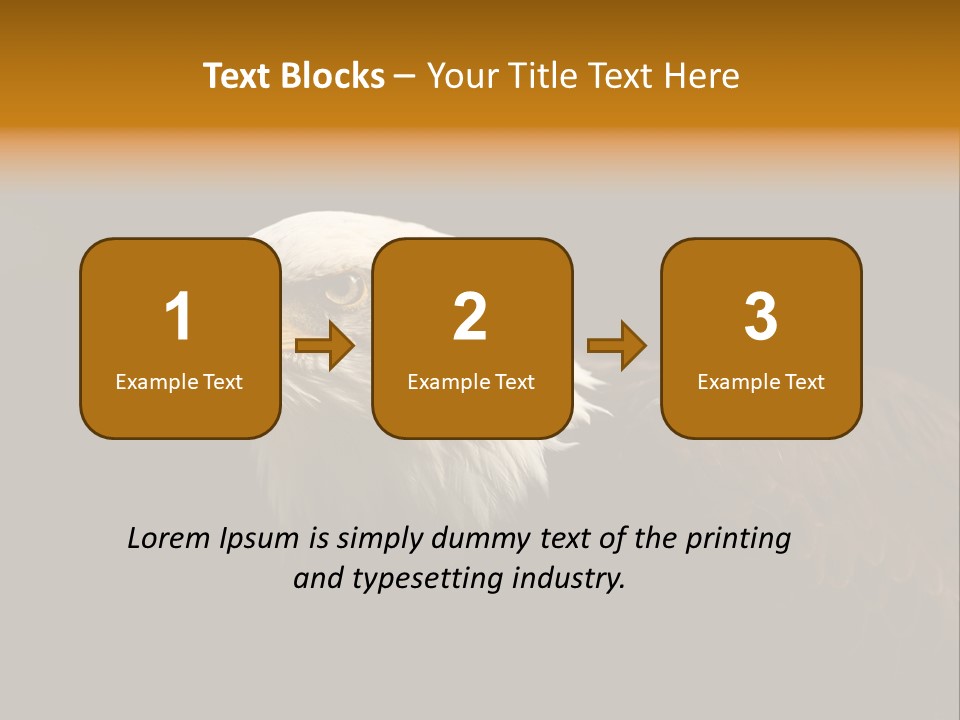 Animal America Hawk PowerPoint Template