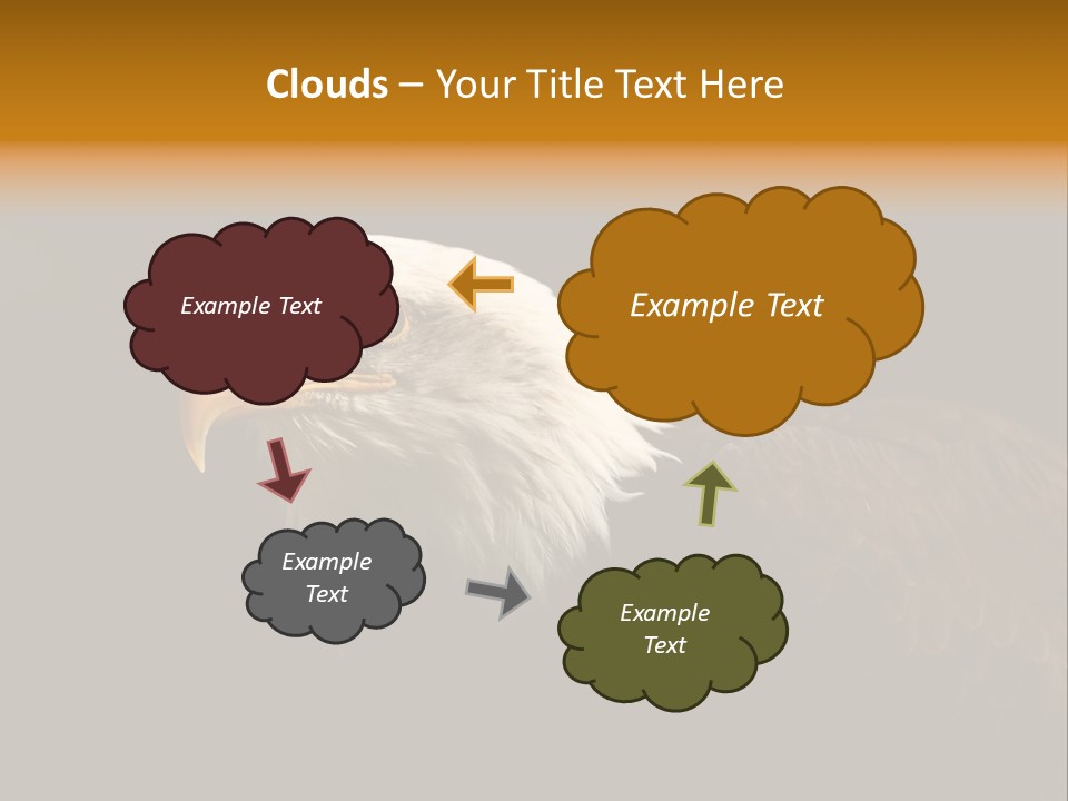 Animal America Hawk PowerPoint Template