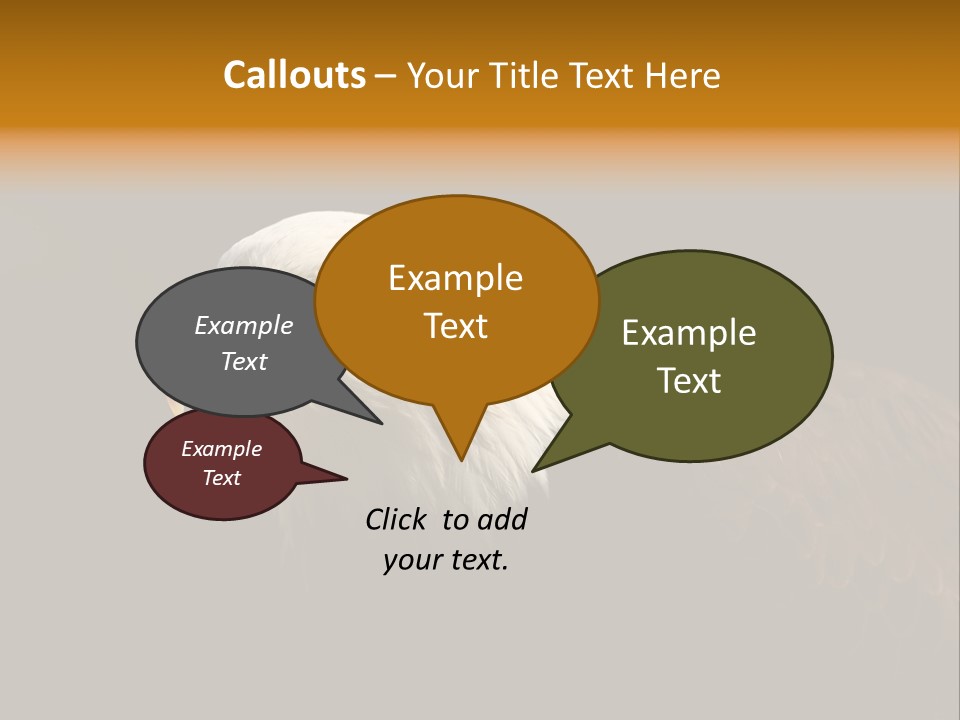 Animal America Hawk PowerPoint Template