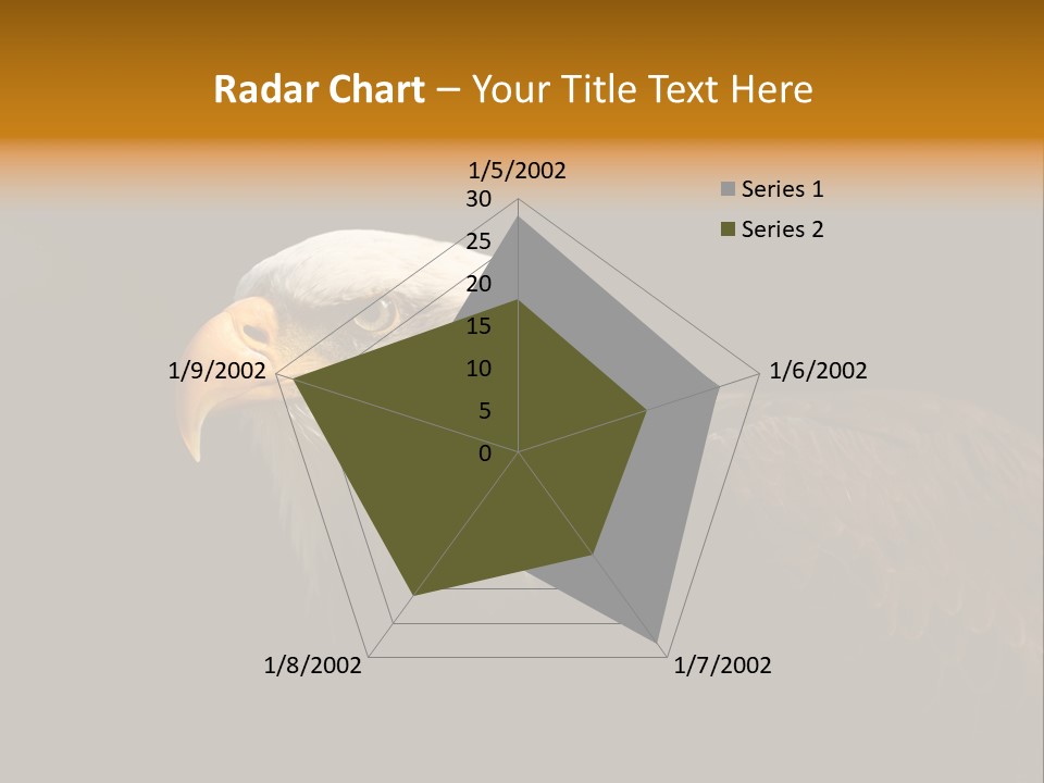 Animal America Hawk PowerPoint Template
