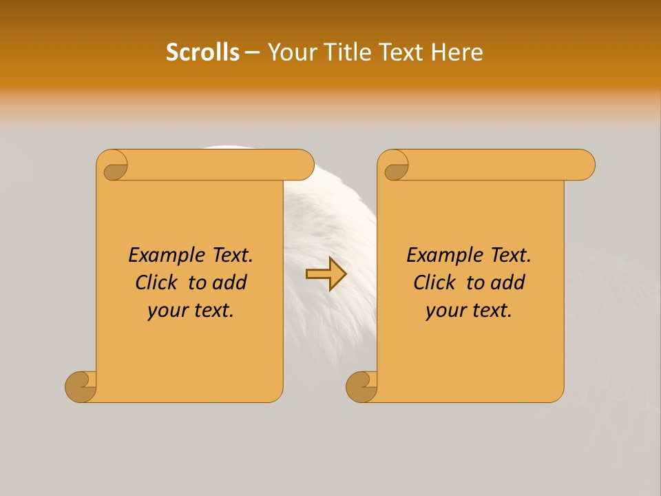 Animal America Hawk PowerPoint Template
