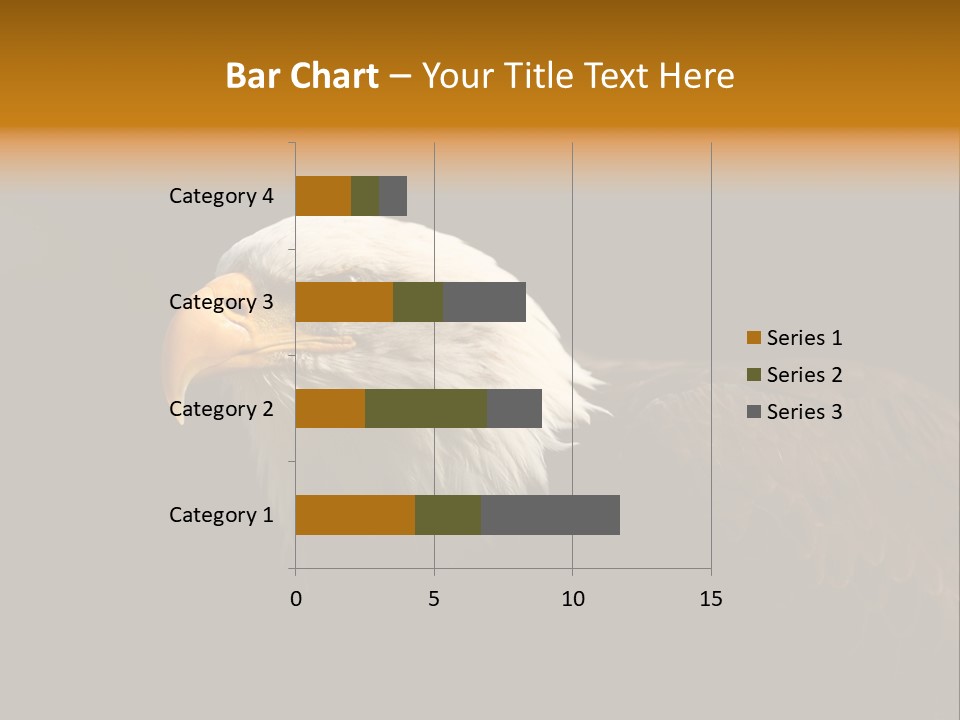 Animal America Hawk PowerPoint Template
