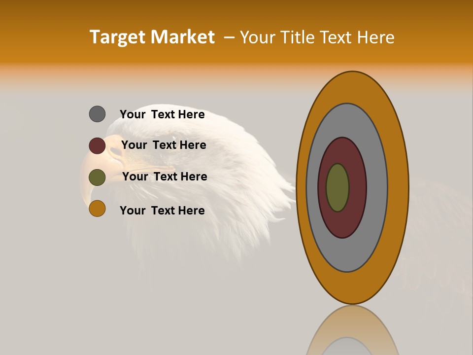 Animal America Hawk PowerPoint Template