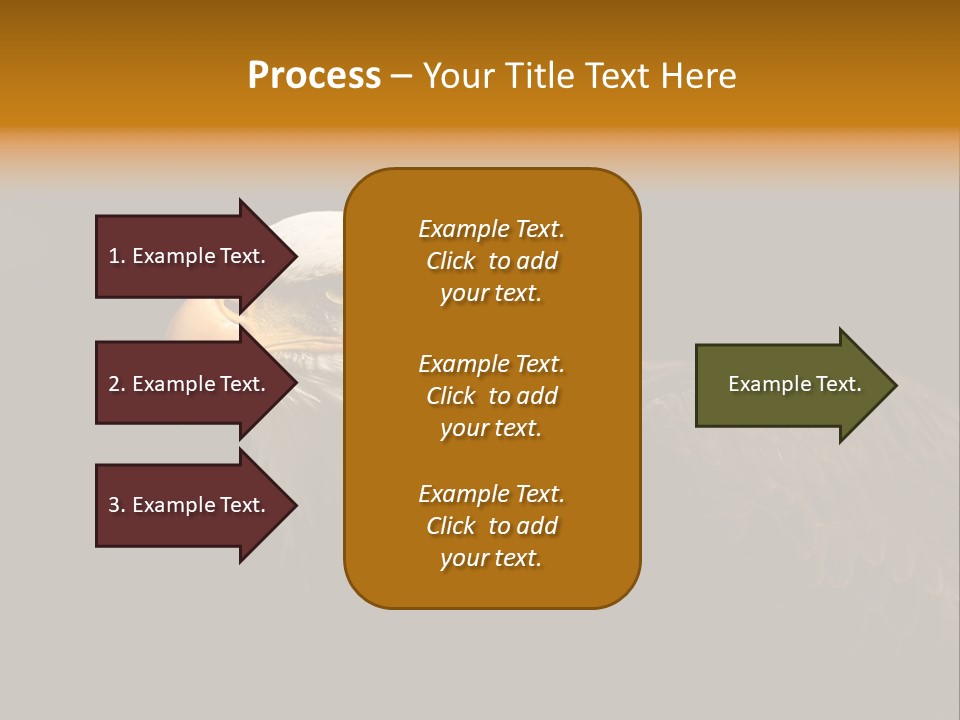 Animal America Hawk PowerPoint Template