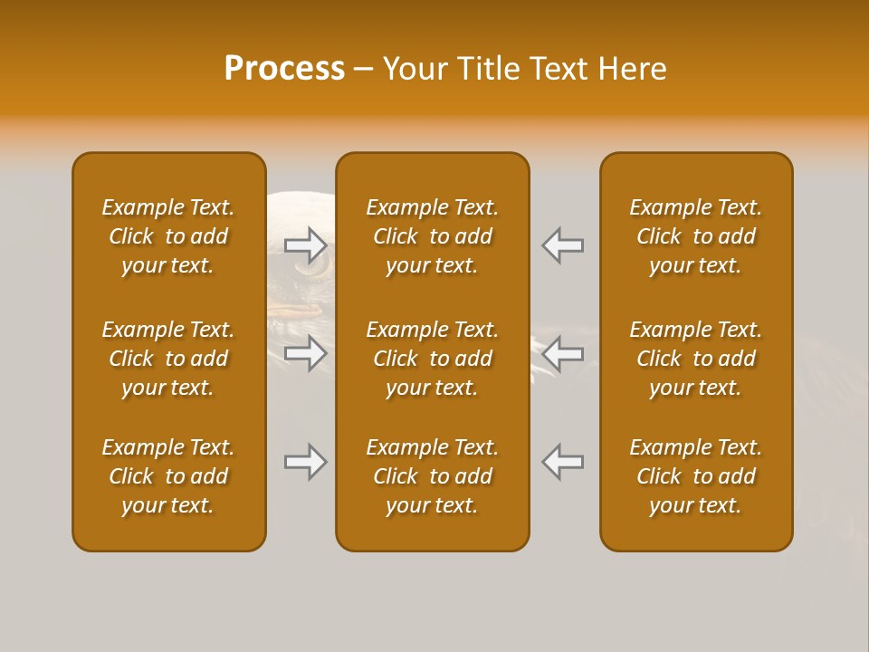 Animal America Hawk PowerPoint Template