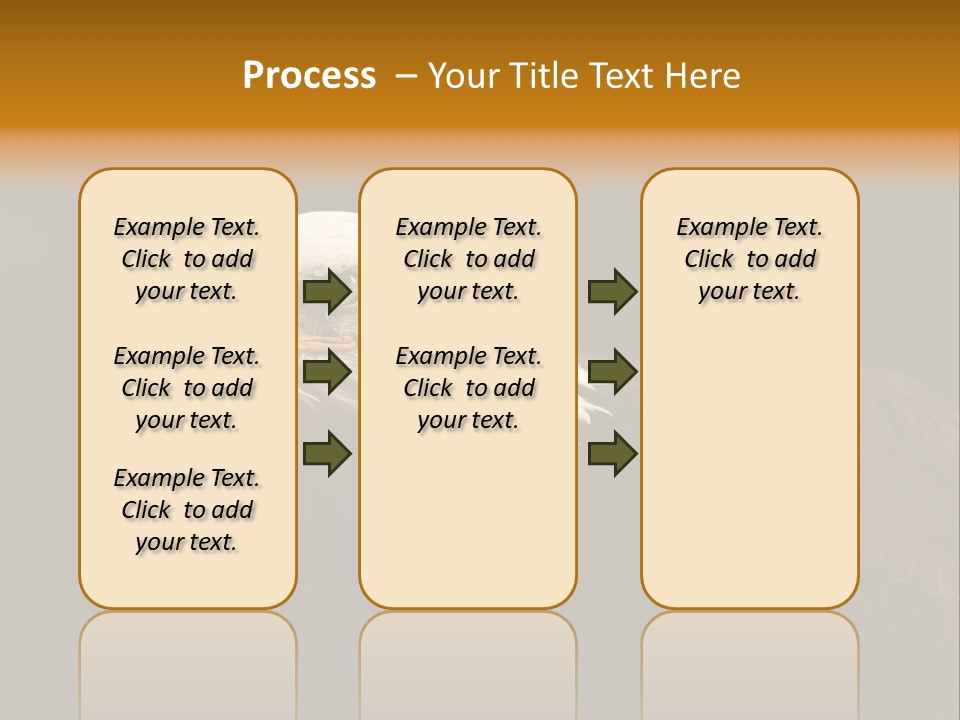 Animal America Hawk PowerPoint Template