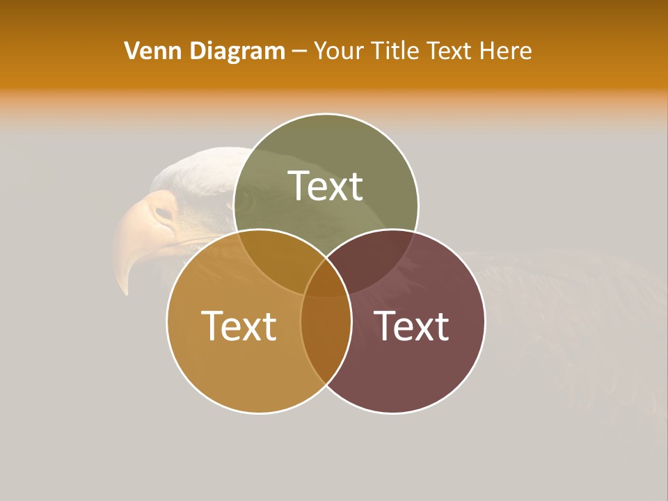 Animal America Hawk PowerPoint Template