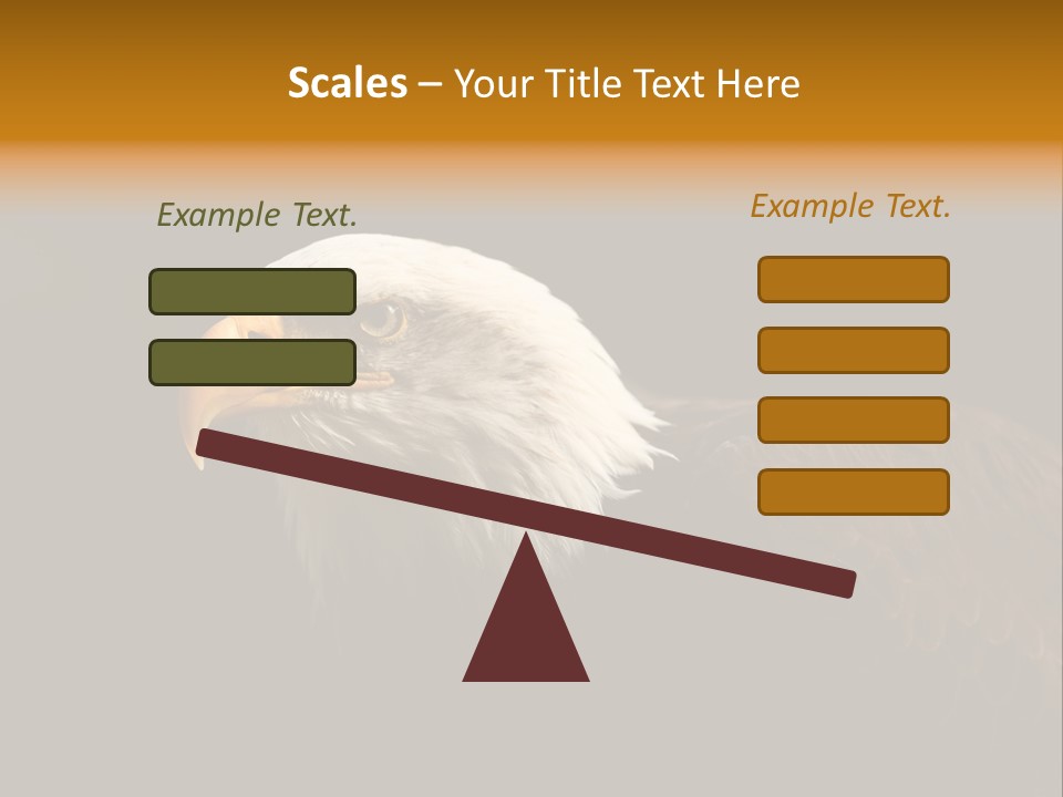 Animal America Hawk PowerPoint Template