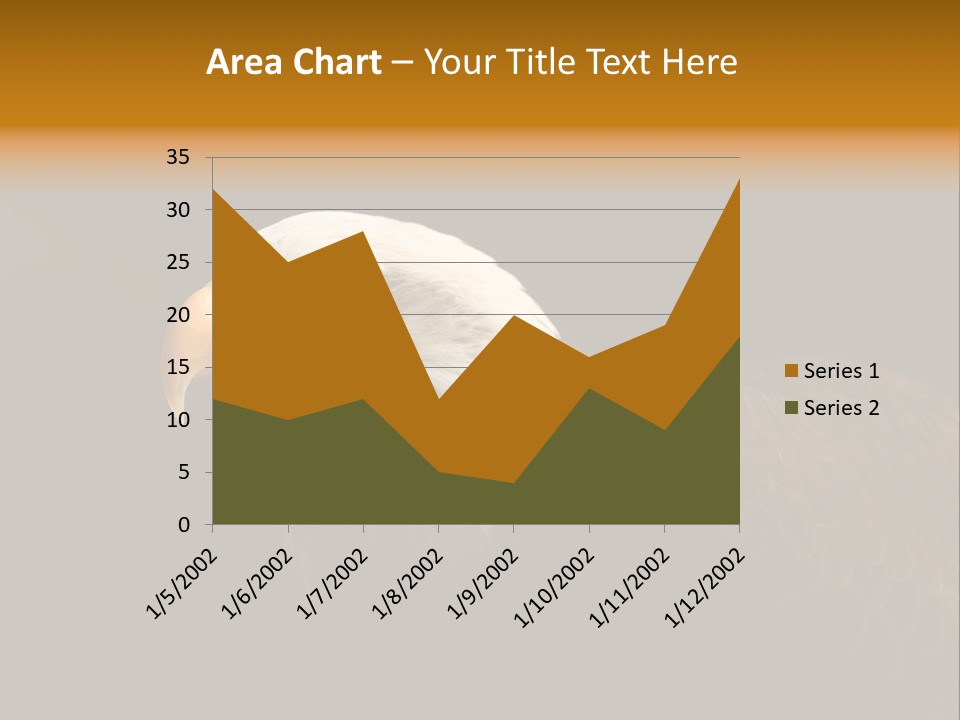 Animal America Hawk PowerPoint Template