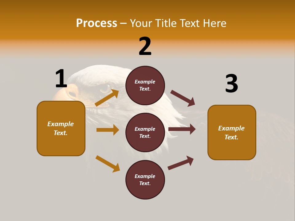 Animal America Hawk PowerPoint Template