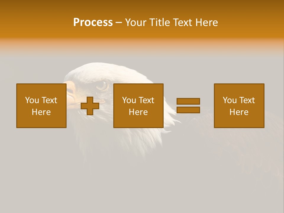 Animal America Hawk PowerPoint Template