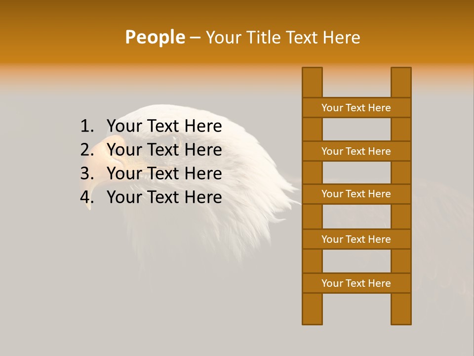 Animal America Hawk PowerPoint Template