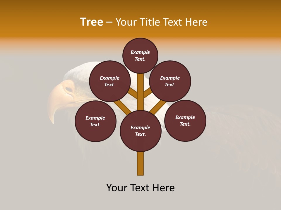 Animal America Hawk PowerPoint Template