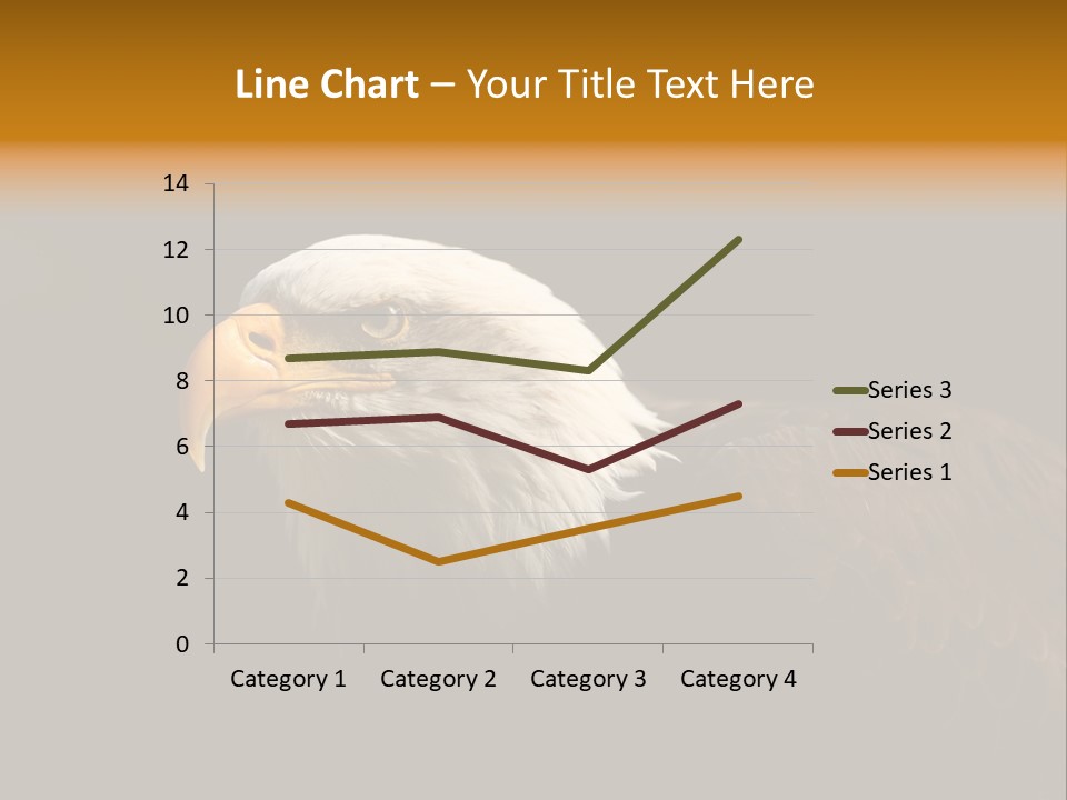 Animal America Hawk PowerPoint Template