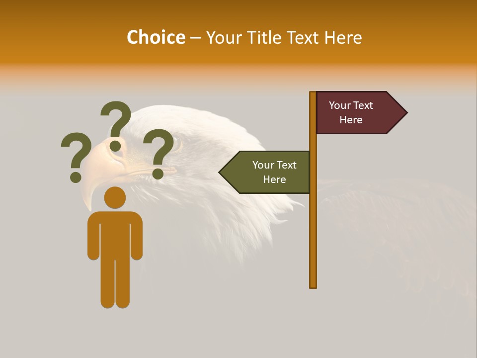Animal America Hawk PowerPoint Template