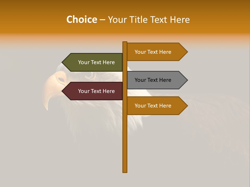 Animal America Hawk PowerPoint Template