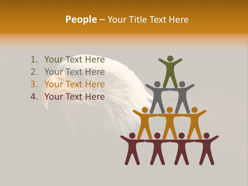 Animal America Hawk PowerPoint Template