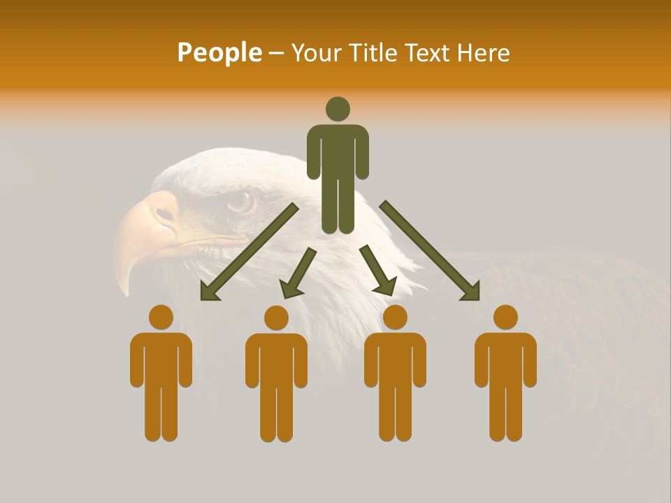 Animal America Hawk PowerPoint Template