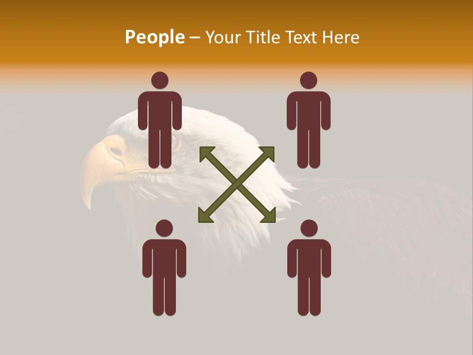Animal America Hawk PowerPoint Template