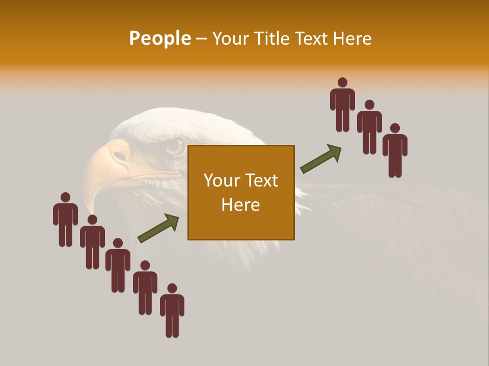 Animal America Hawk PowerPoint Template