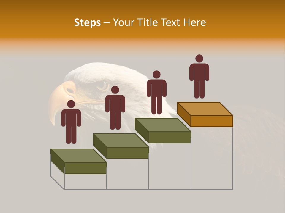 Animal America Hawk PowerPoint Template