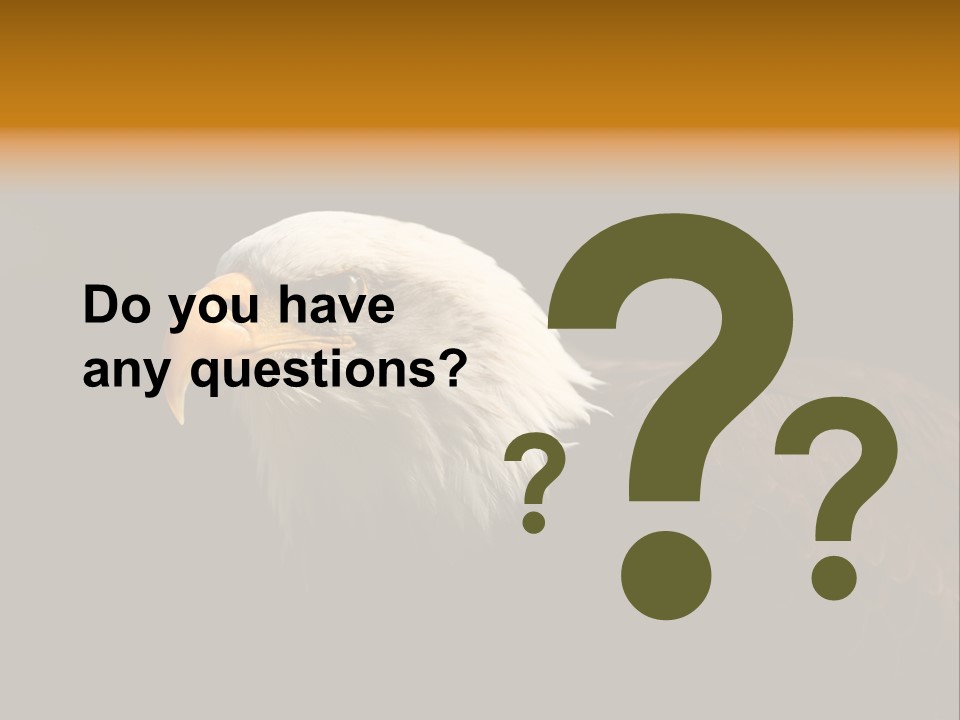 Animal America Hawk PowerPoint Template