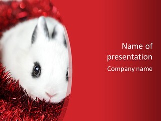 Gray Hare Design PowerPoint Template