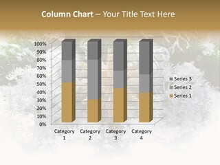 Snow New Ornate PowerPoint Template