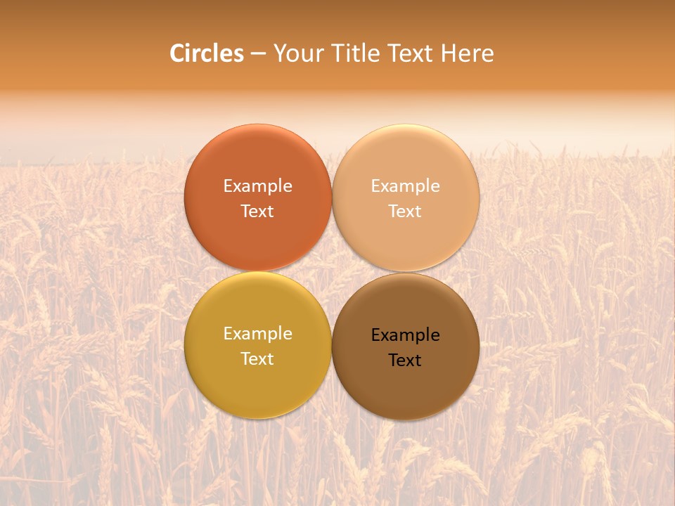 Group Field Farm PowerPoint Template