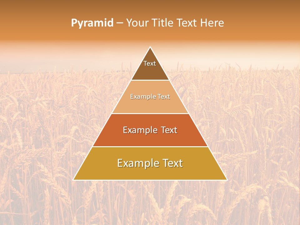 Group Field Farm PowerPoint Template