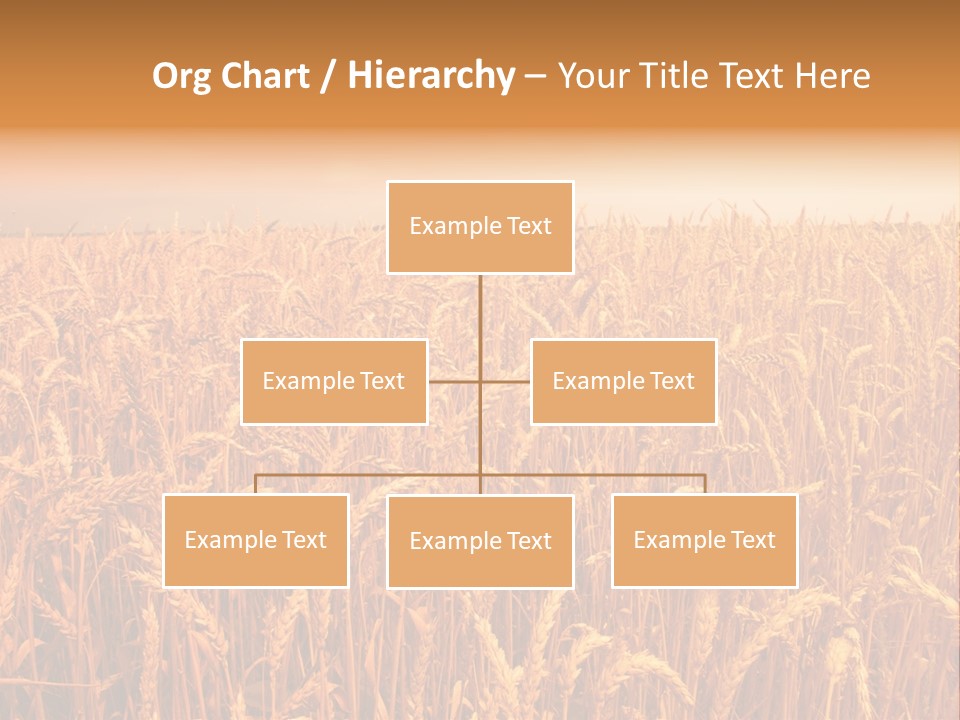 Group Field Farm PowerPoint Template