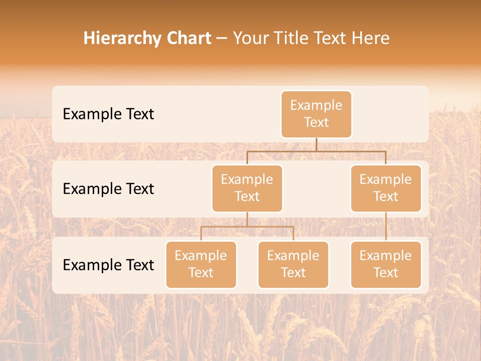Group Field Farm PowerPoint Template