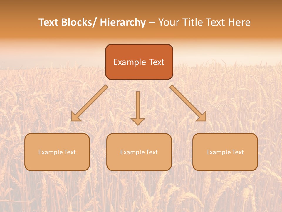 Group Field Farm PowerPoint Template