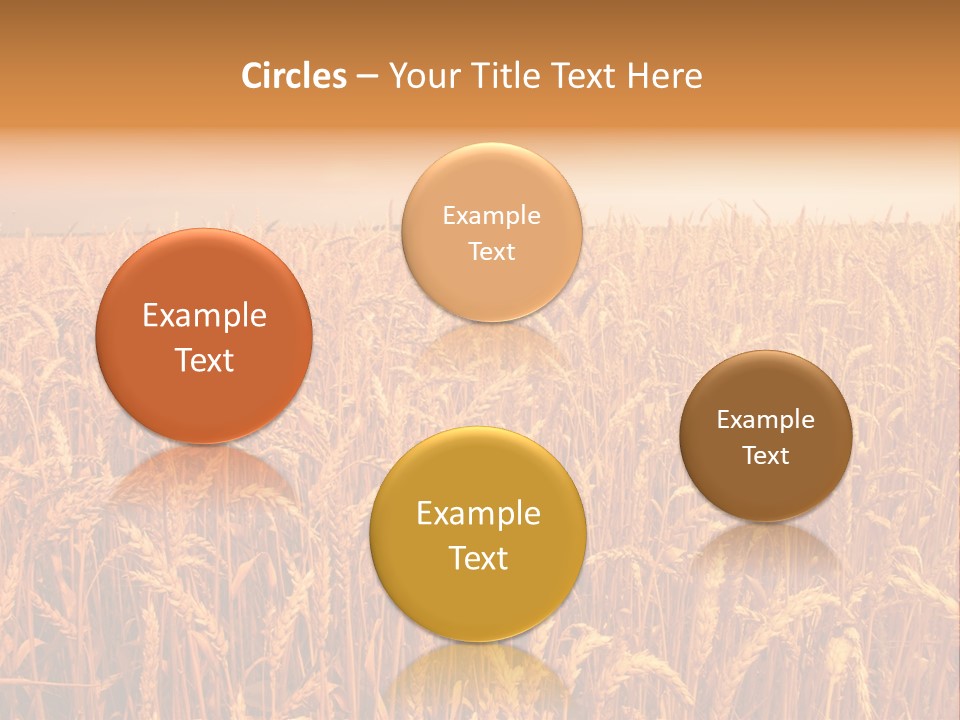 Group Field Farm PowerPoint Template