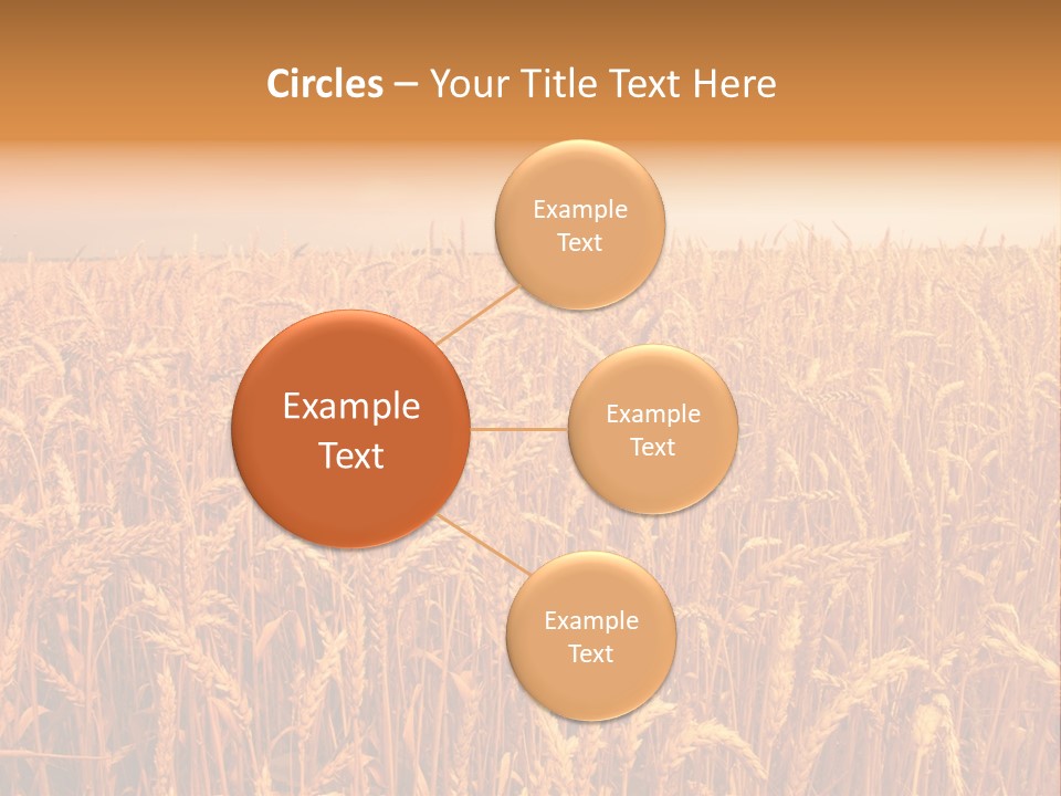 Group Field Farm PowerPoint Template