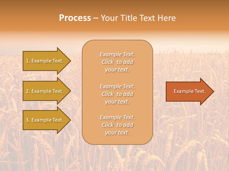 Group Field Farm PowerPoint Template