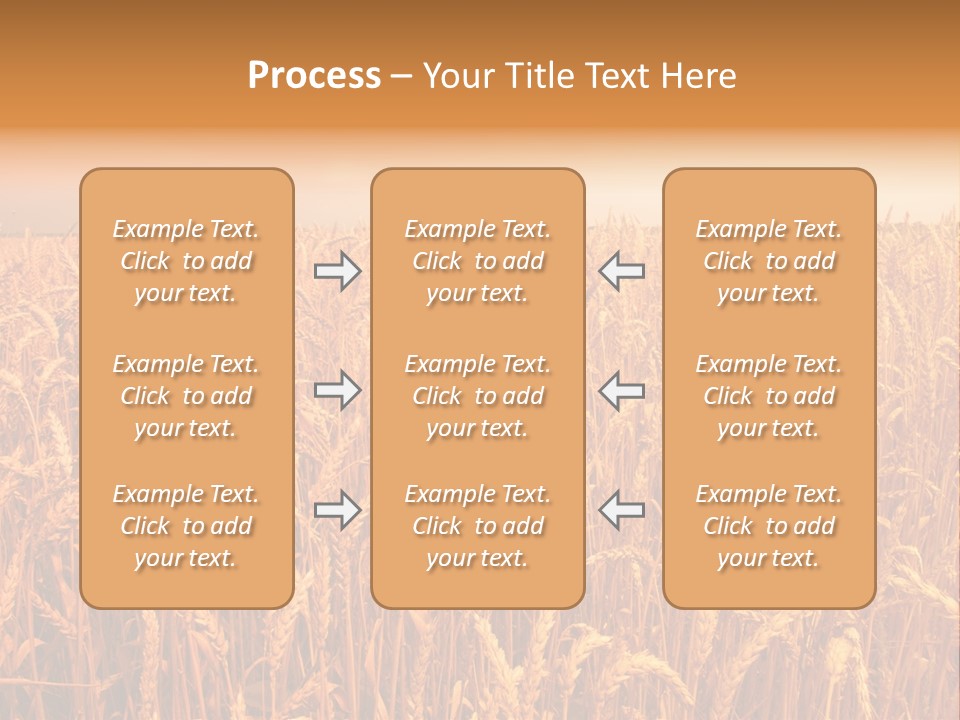 Group Field Farm PowerPoint Template